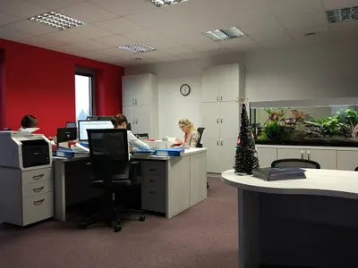 FIRA Biuro rachunkowe